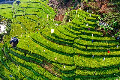 A note on a chalk board saying How Who What When Why Where